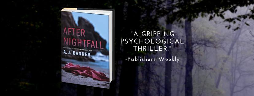 Book Review: After Nightfall by A. J. Banner