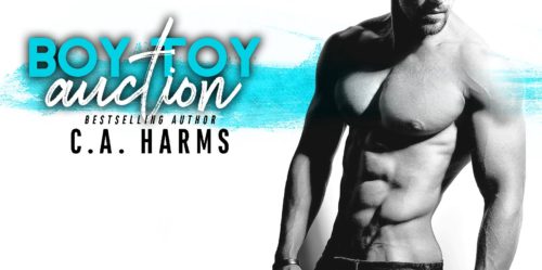 Book Review: Boy Toy Auction by C.A. Harms