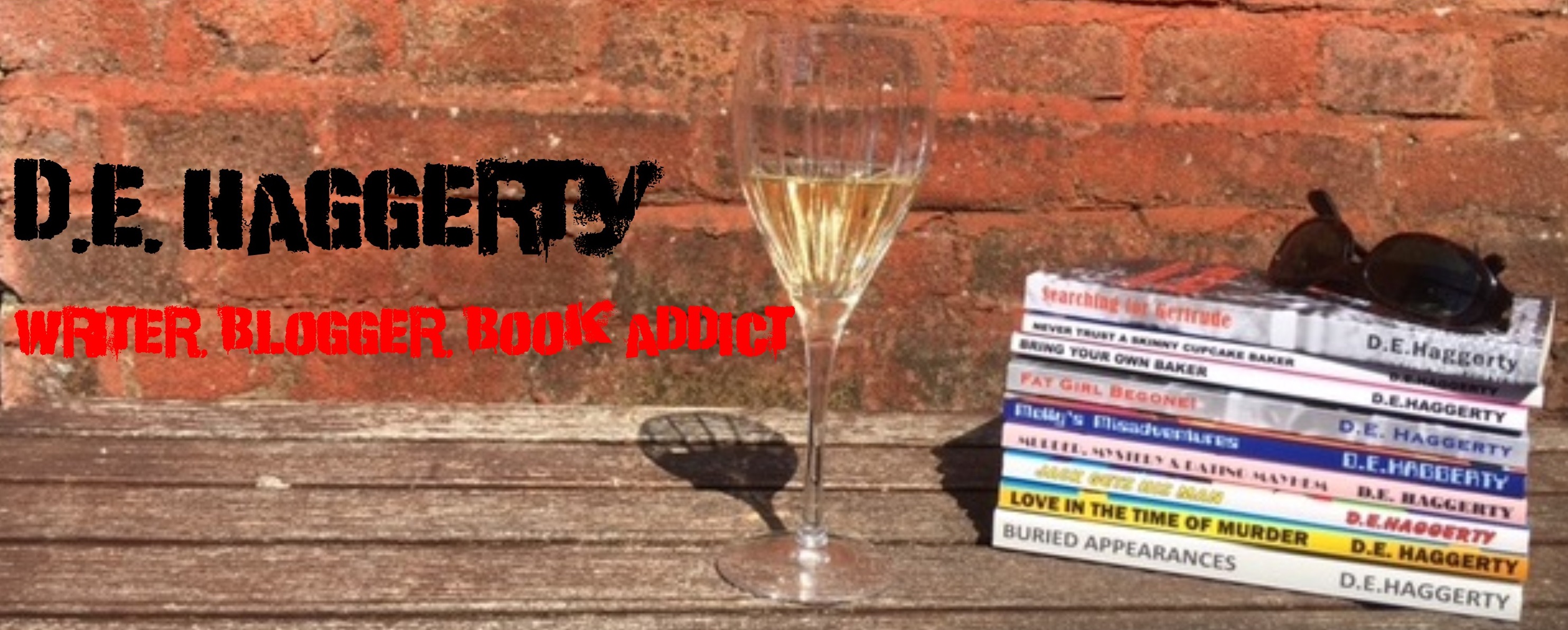 Book Review: Picture Not Perfect by D.E. Haggerty