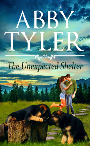 Book Review: The Unexpected Shelter (Applebottom Matchmaker Society Series) by Abby Tyler