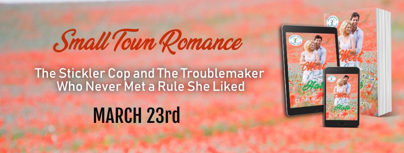 Book Review:  Meet Hate (Winter Falls ~ Dempsey Sisters Book 4) by D.E. Haggerty   @dehaggerty