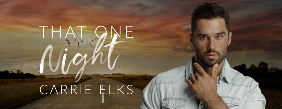Book Review: That One Night (The Heartbreak Brothers Next Generation Book 4) by Carrie Elks  @CarrieElks